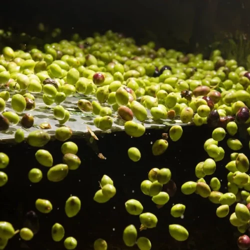 photo_2020-11-11_15-58-15